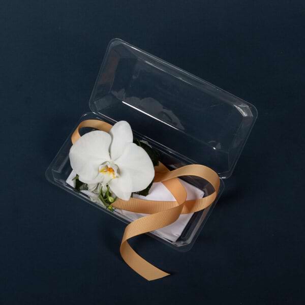Presentation Box