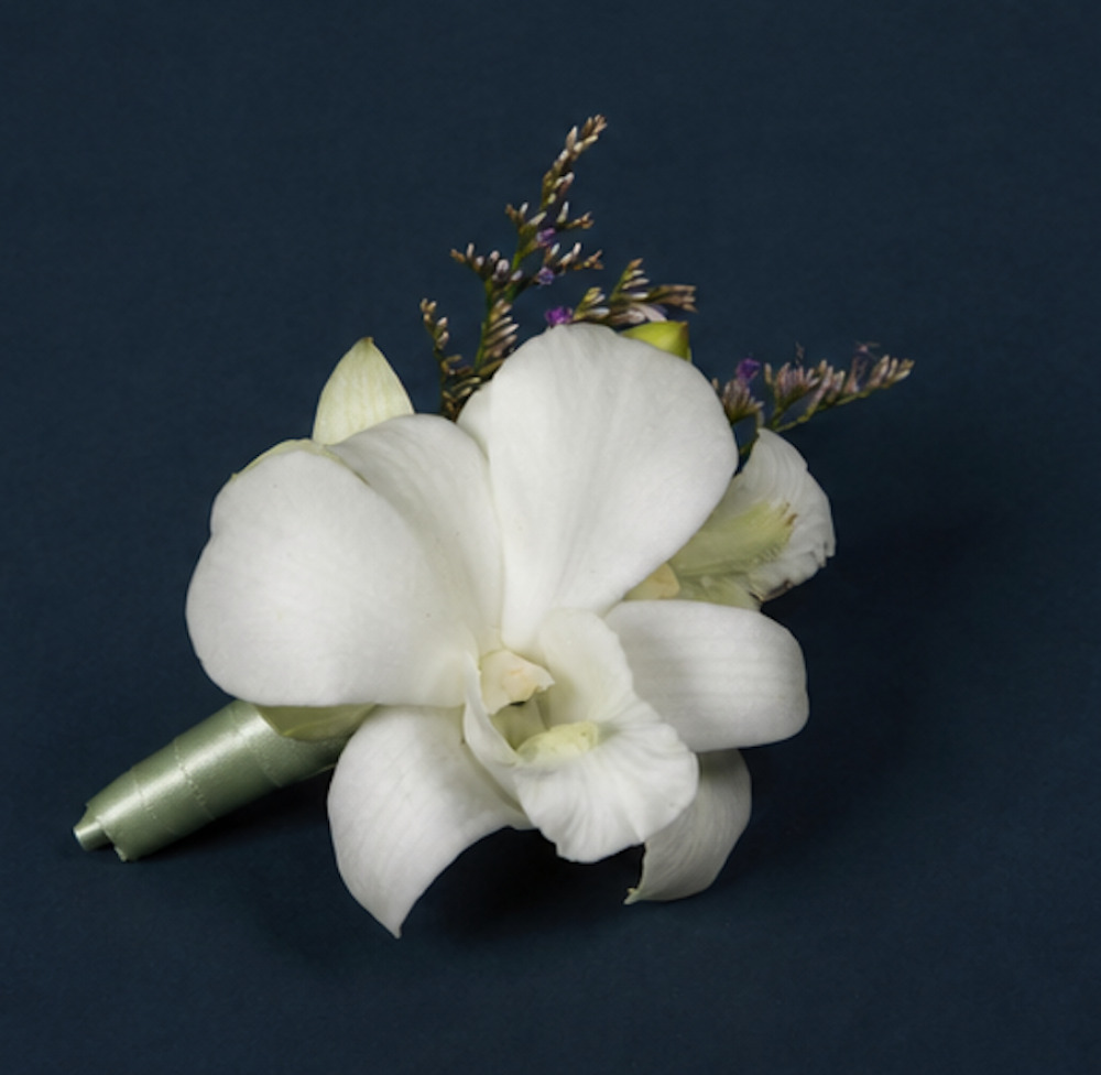 The Meaning of Iris Flowers