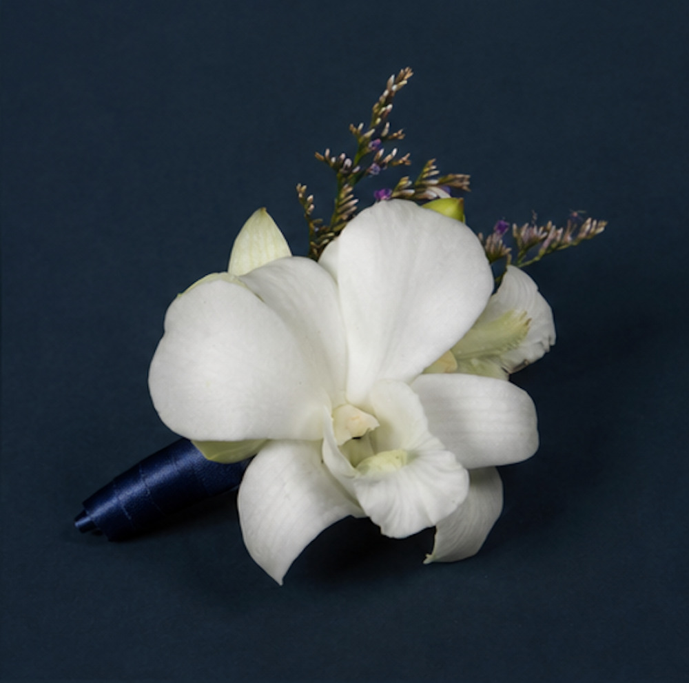 The Symbolism of Tulips and What They Mean