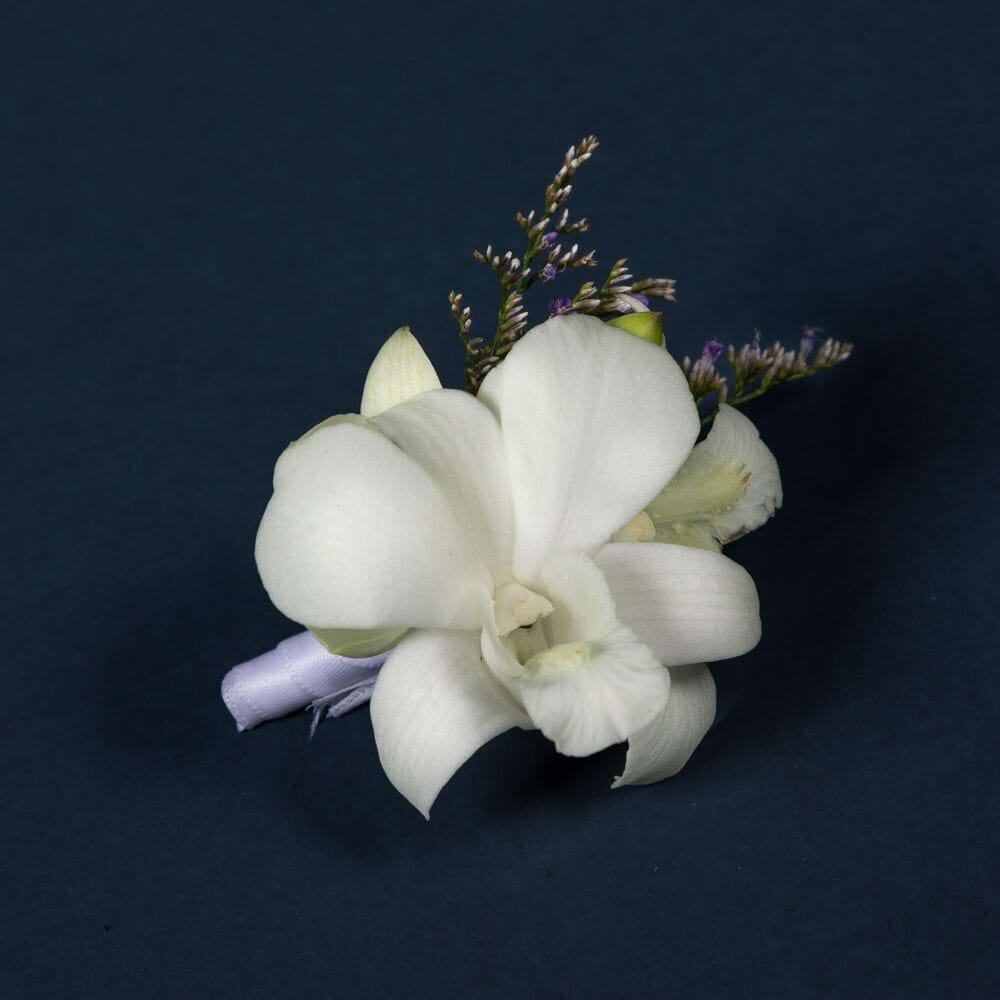 White Phalaenopsis orchid buttonhole with complementary seasonal flowers and pale ribbon