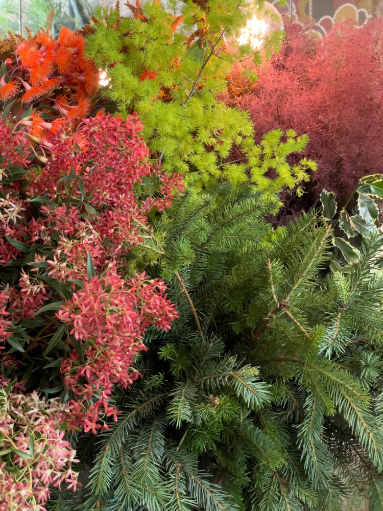 Christmas Florist Choice