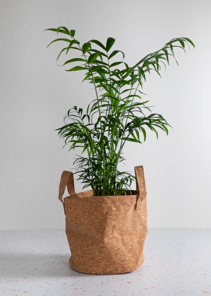 Parlour Palm & Cork Planter Bag